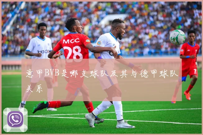 意甲BVB是哪支球队及其与德甲球队关系