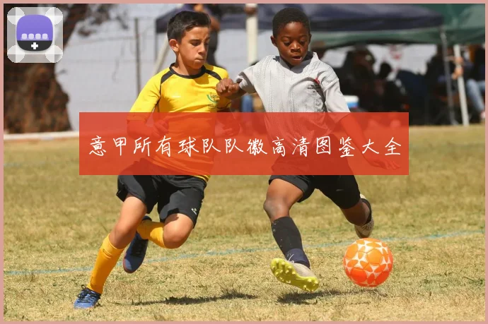意甲所有球队队徽高清图鉴大全