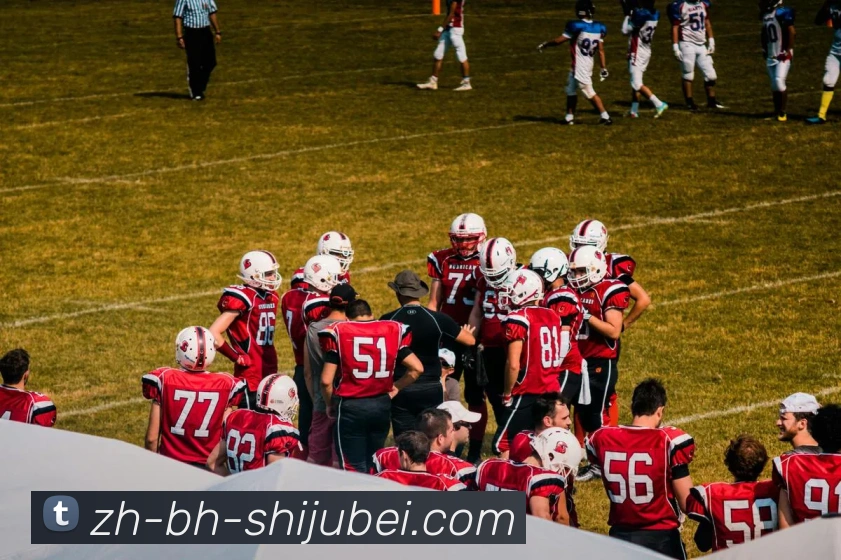 世界杯赛程表平台生态图